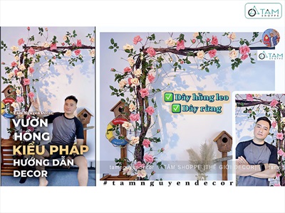 Hướng dẫn cách gắn dây hoa hồng leo giả kiểu Pháp lên tường thành giàn hoa decor đẹp mắt by Tâm Nguyễn Decor
